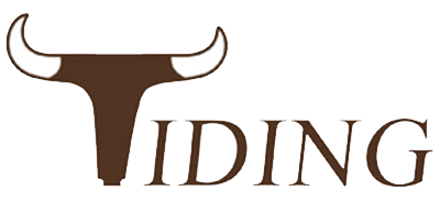 Tiding Official website